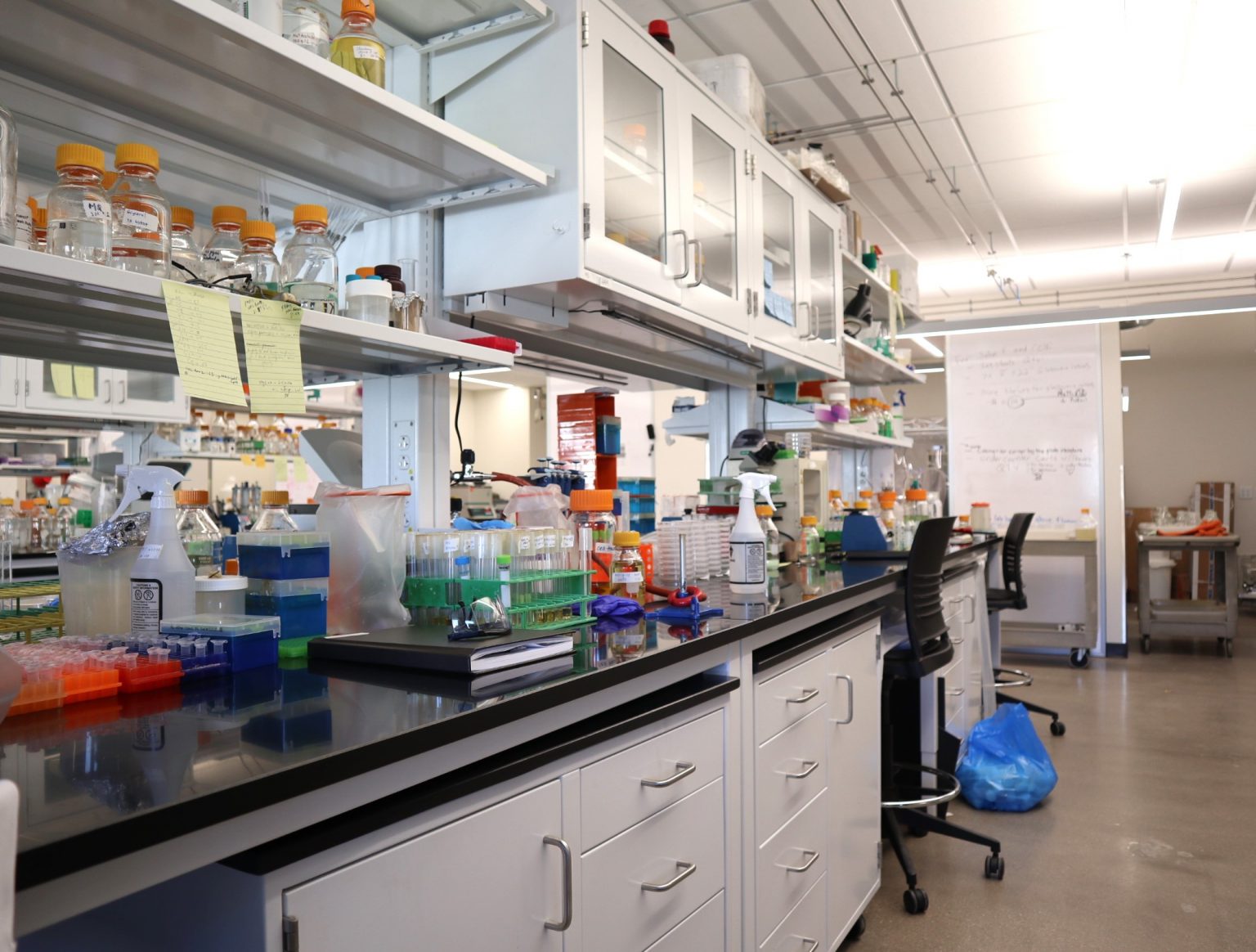 A research bench in a UW–Madison chemical and biological engineering laboratory, lined with labeled reagent bottles, sample racks, and glassware.