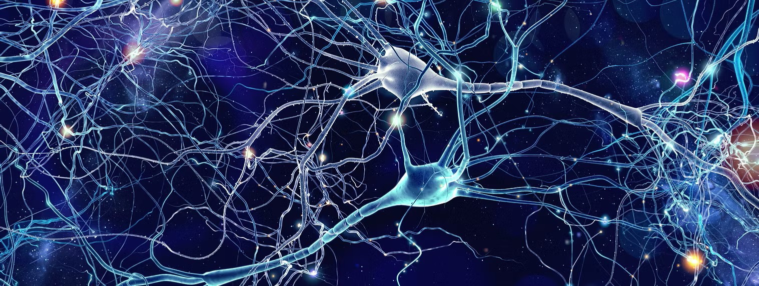 Illustration of glowing blue neurons and dendrites against a dark background, representing PANTHER's brain injury research.